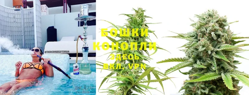 hydra   Видное  Канабис THC 21% 